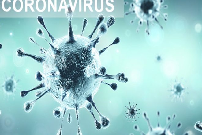 Coronavirüs Dünyayı Korkutmaya Devam Ediyor