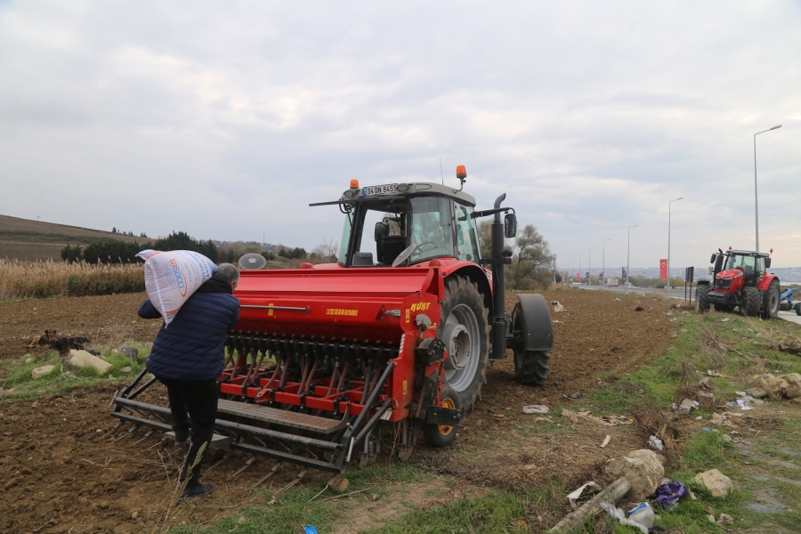 Büyükçekmece’de makarnalık buğdayın ilk ekimi yapıldı