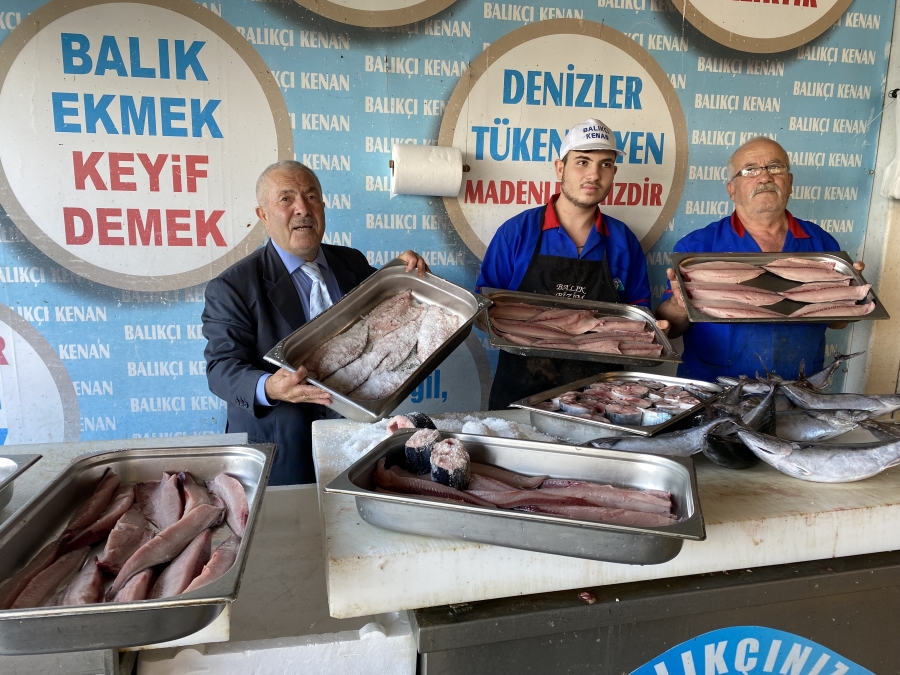 Palamut Balığı Omega-3 Deposu