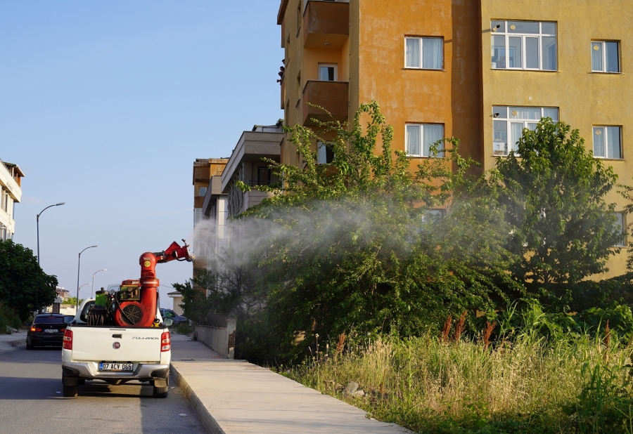 BEYLİKDÜZÜ’NDE İLAÇLAMA ÇALIŞMALARI SÜRÜYOR