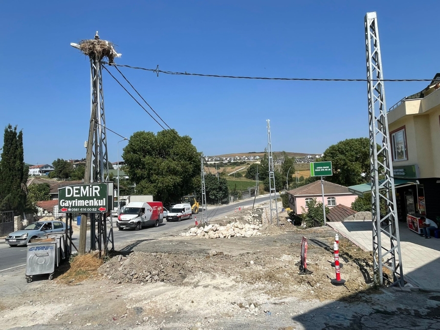 Leylek yavruları için yol inşaatı durduruldu!