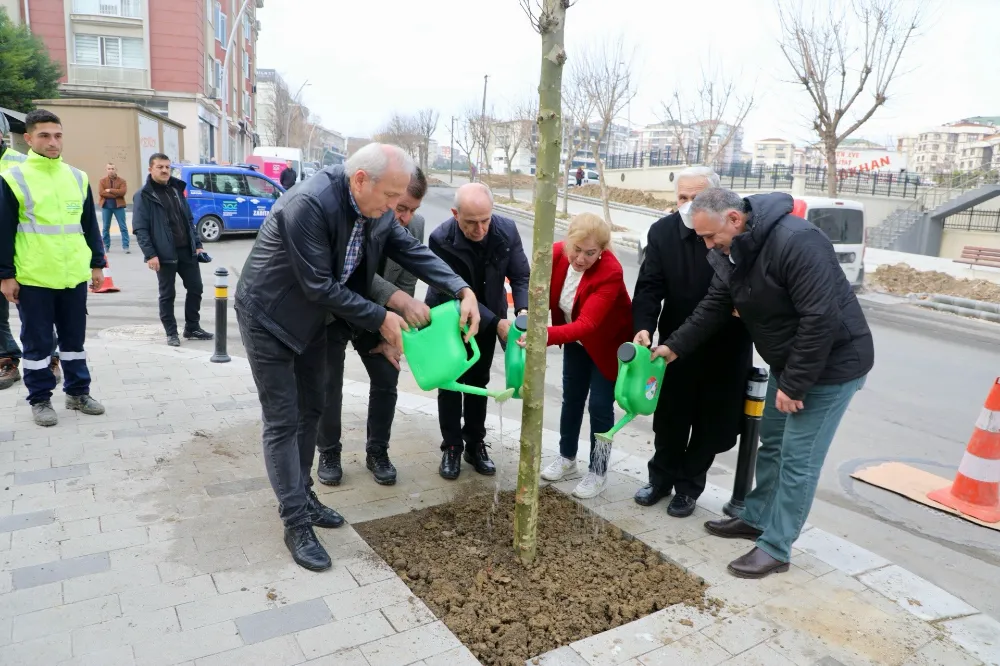 Büyükçekmece’de 2024 yılına 24 mahallede ağaç dikerek girildi