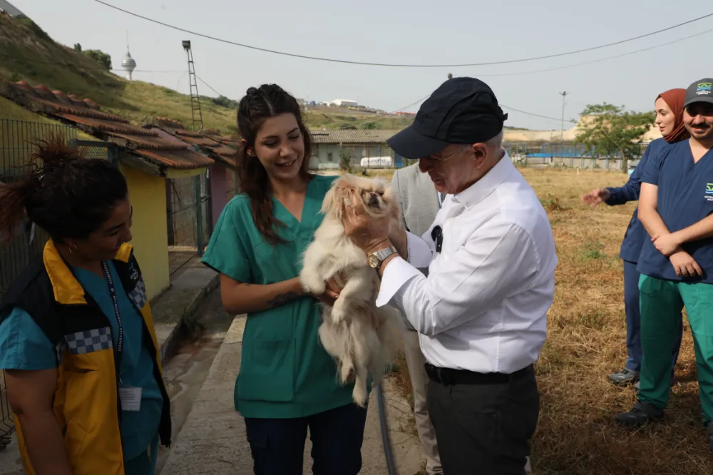 “Devlet katkı sağlarsa sokak hayvanları sorunu 5 yılda çözülür”