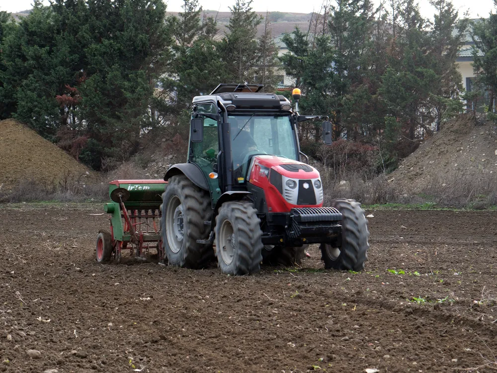Büyükçekmece’de atıl araziler buğdayla buluştu