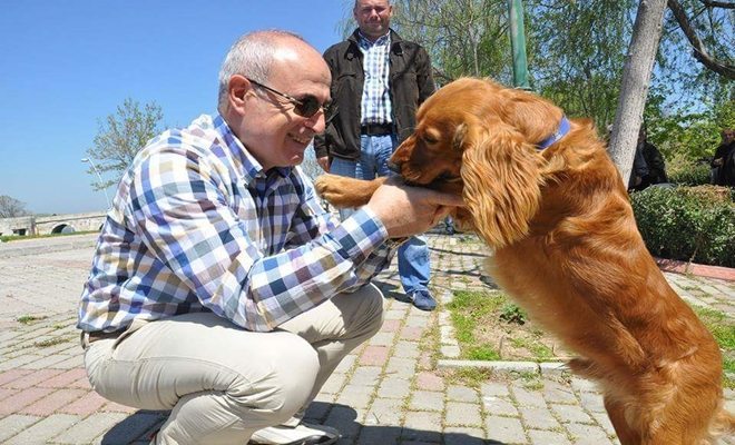 Hiçbir Sokak Hayvanı Aç ve Susuz Kalmayacak