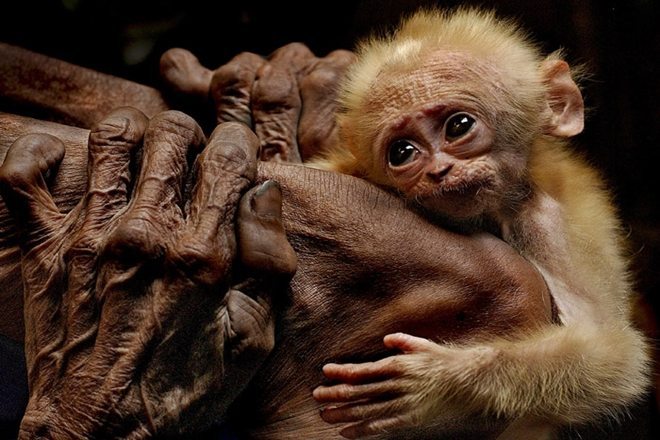 Güler Ertan Fotoğraf Yarışması Sonuçlandı