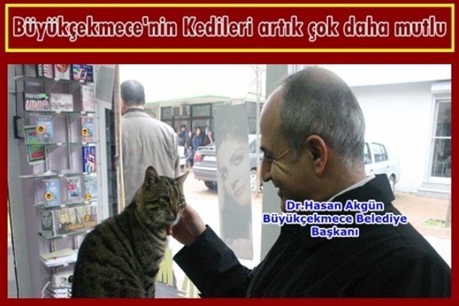 Büyükçekmece Belediyesi Kedileri EV lendiriyor