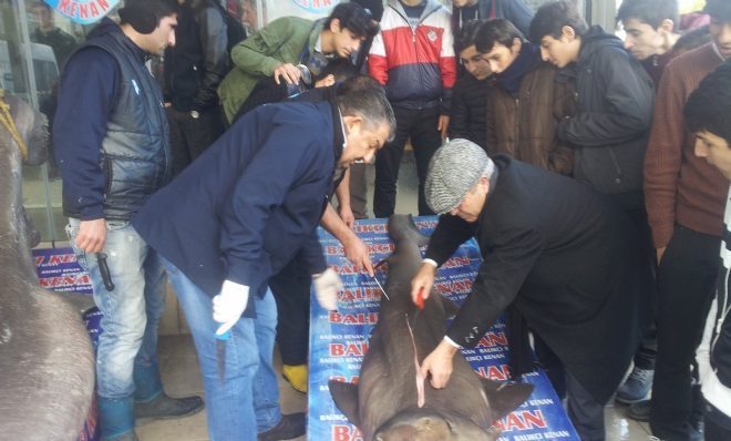 Balıkçı Kenan Kanserli Hastalara Şifa Dağıttı