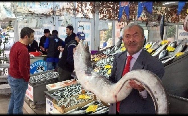 MARMARA`DA İKİ METRELİK YILANBALIĞI YAKALANDI