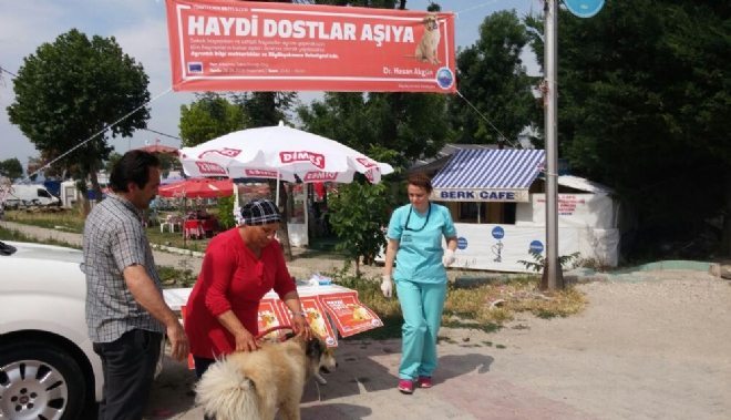 HAYDİ DOSTLAR AŞIYA!