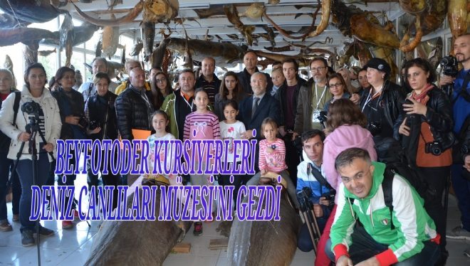 BEYFOTODER KURSİYERLERİ DENİZ CANLILARI MÜZESİ