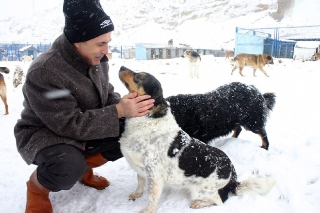 Başkan Akgün: Binlerce sahipsiz hayvana şifa dağıttık