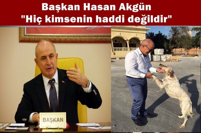 Başkan Akgün 