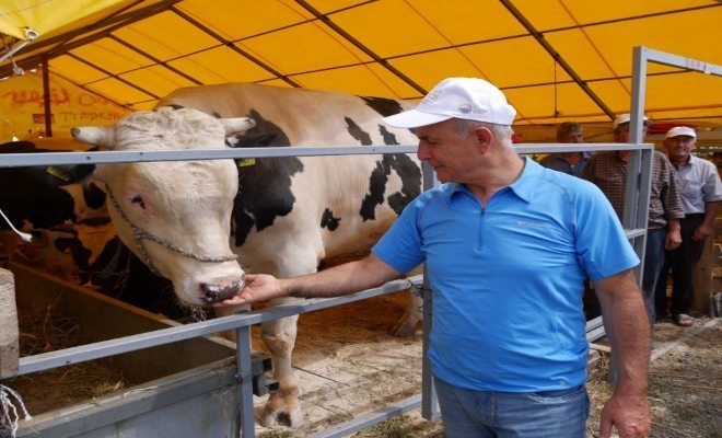 Kurban Bayramı için tüm tedbirlerimizi aldık