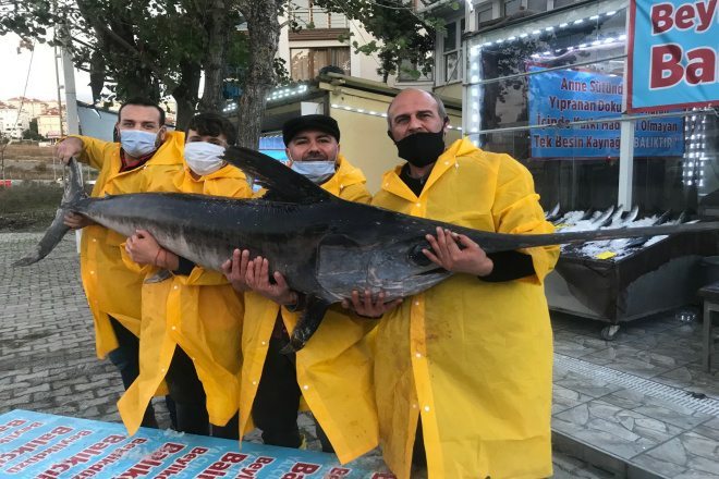 MARMARA DENİZİ AÇIKLARINDA DEVASA KILIÇ BALIĞI YAKALANDI