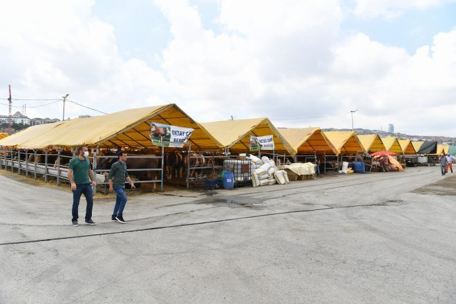 BEYLİKDÜZÜ KURBAN SATIŞ VE KESİM ALANI BAYRAMA HAZIR