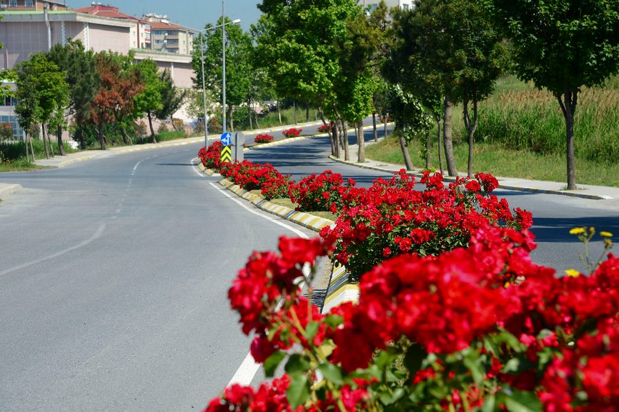 Beylikdüzü Gül Bahçesi Gibi...